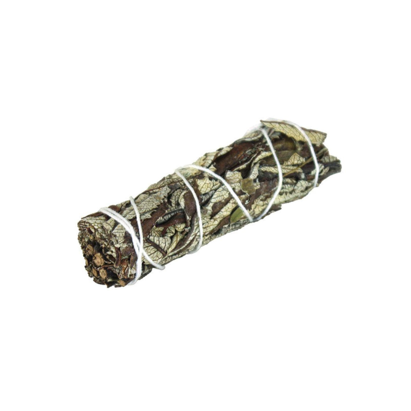4" Variety Smudge Sage Sticks (Retail) - REGEN THE BODY