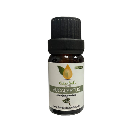 Eucalyptus Essential Oil - REGEN THE BODY