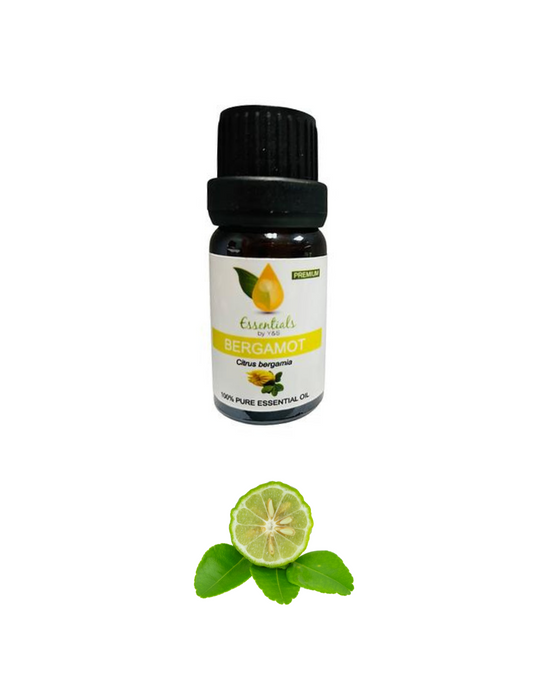 Bergamot Essential Oil (Wholesale) -5CT