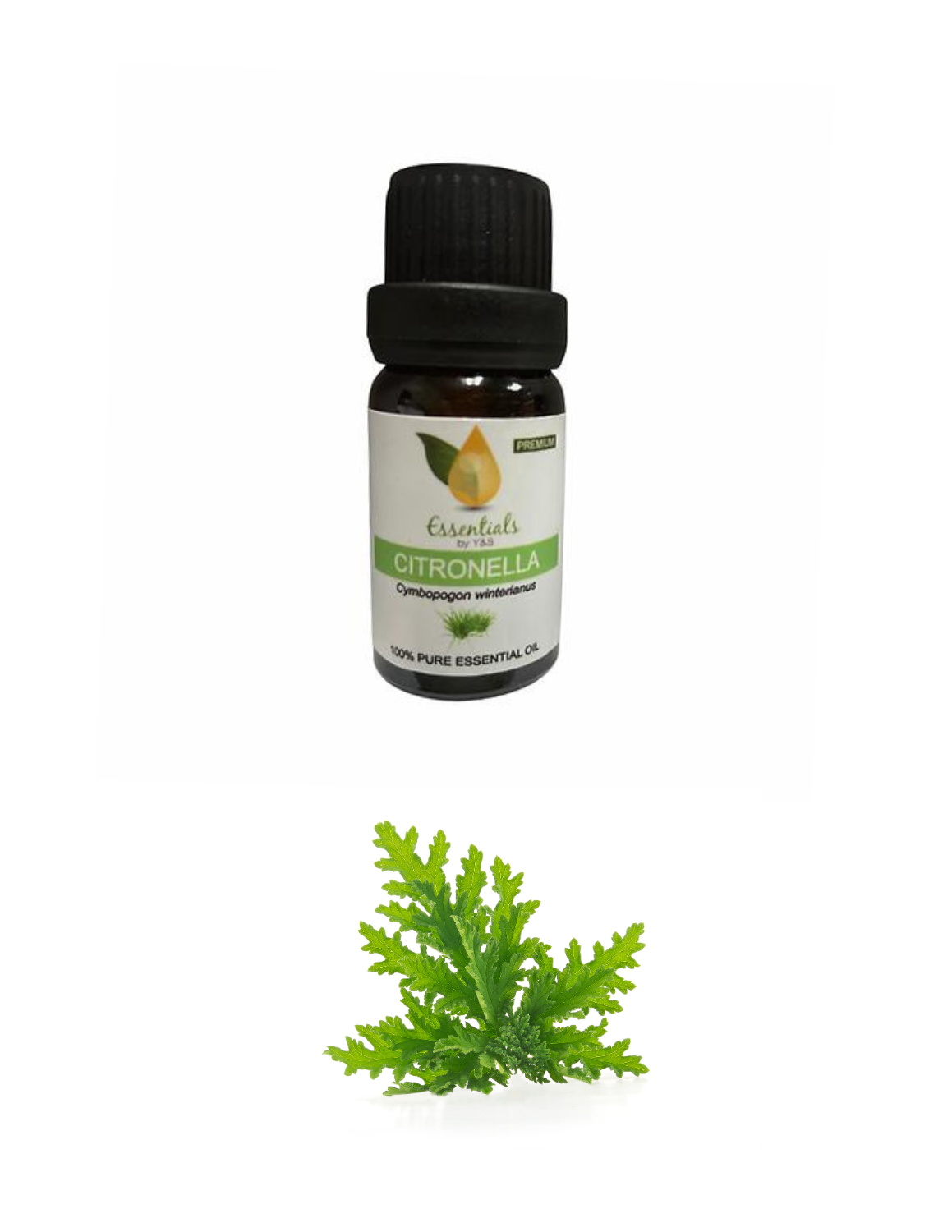 Citronella Essential Oil