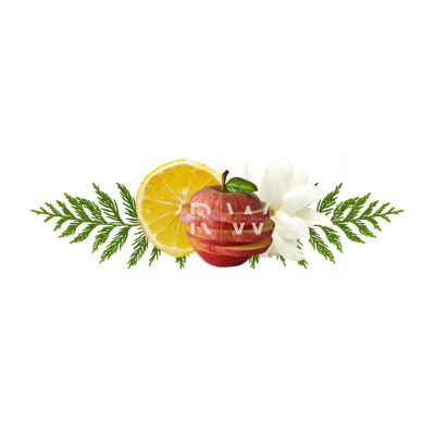 Compare to aroma CLEAN COTTON AIR FRESHENER & BURNING OIL® (Wholesale)