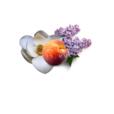 Compare to aroma FEBREZE FRESH AIR FRESHENER & BURNING OIL®  (Wholesale)