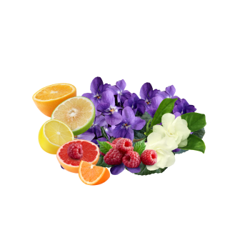 Compare to aroma LICK ME ALL OVER AIR FRESHENER & BURNING OIL®  (Wholesale)