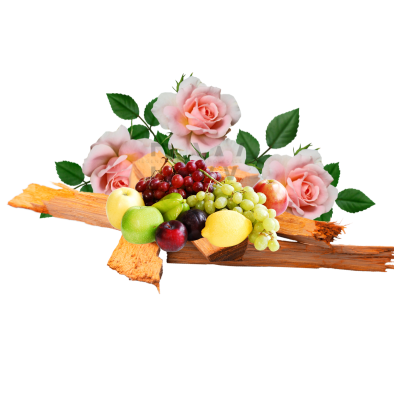 Compare to aroma EAT IT RAW AIR FRESHENER & BURNING OIL ® (Wholesale)