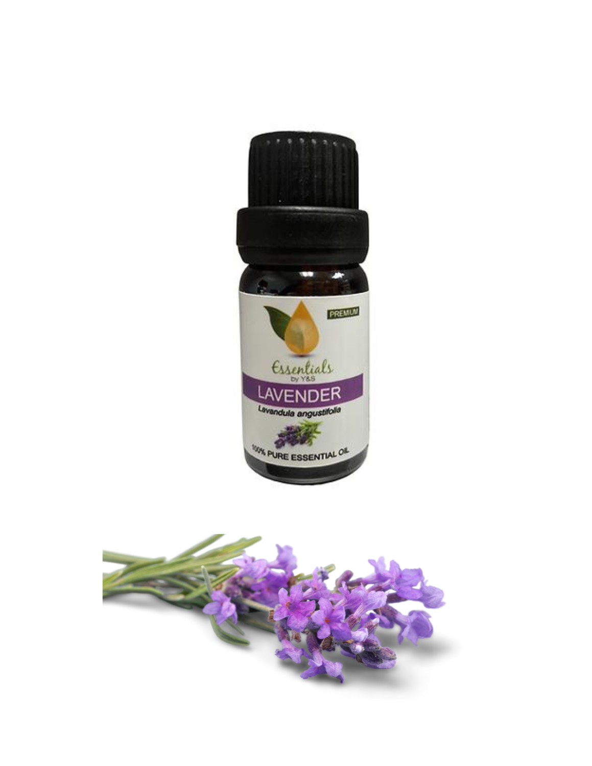 Lavender Essential Oil (Wholesale) 5CT