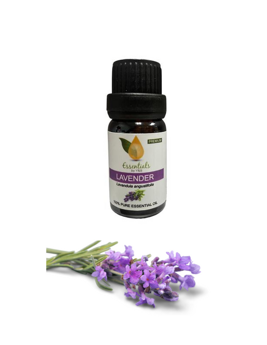 Lavender Essential Oil (Wholesale) 5CT