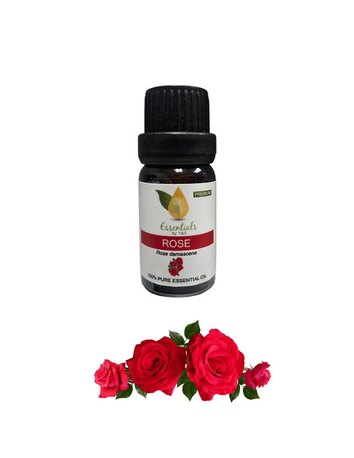 Rose Essential Oil (Wholesale) 5CT