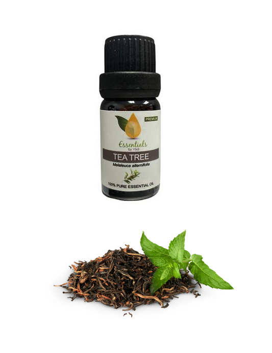 Tea Tree Essential Oil (Wholesale) 5CT