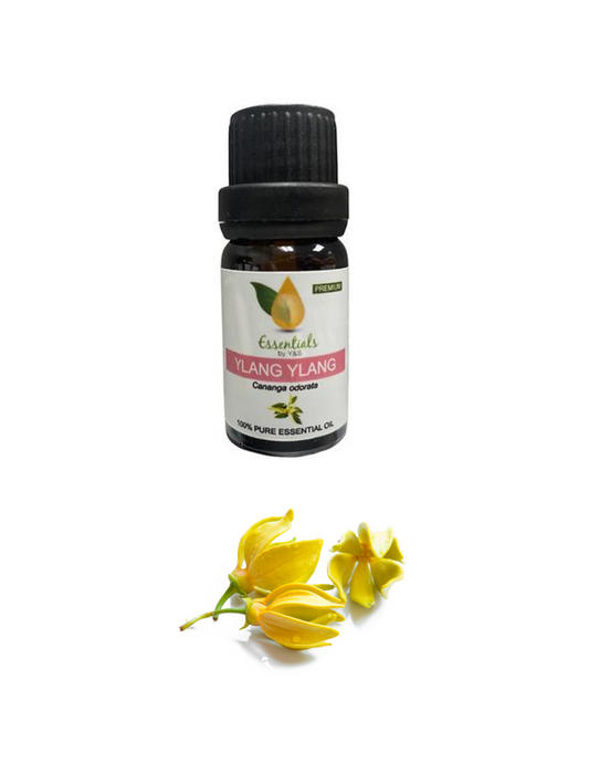 Ylang Ylang Essential Oil (Wholesale) 5CT