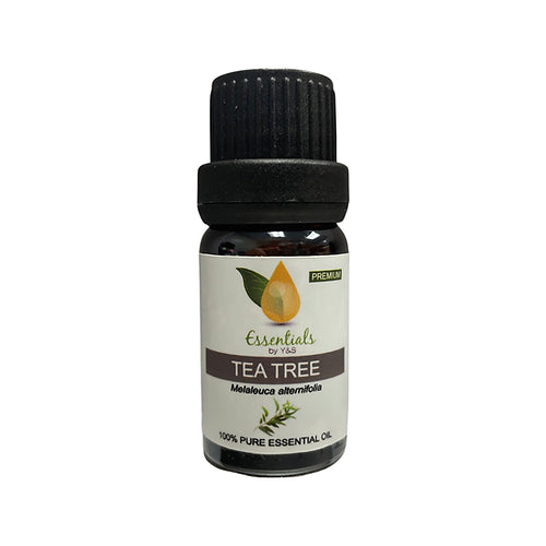 Tea Tree Essential Oil (Wholesale) 5CT